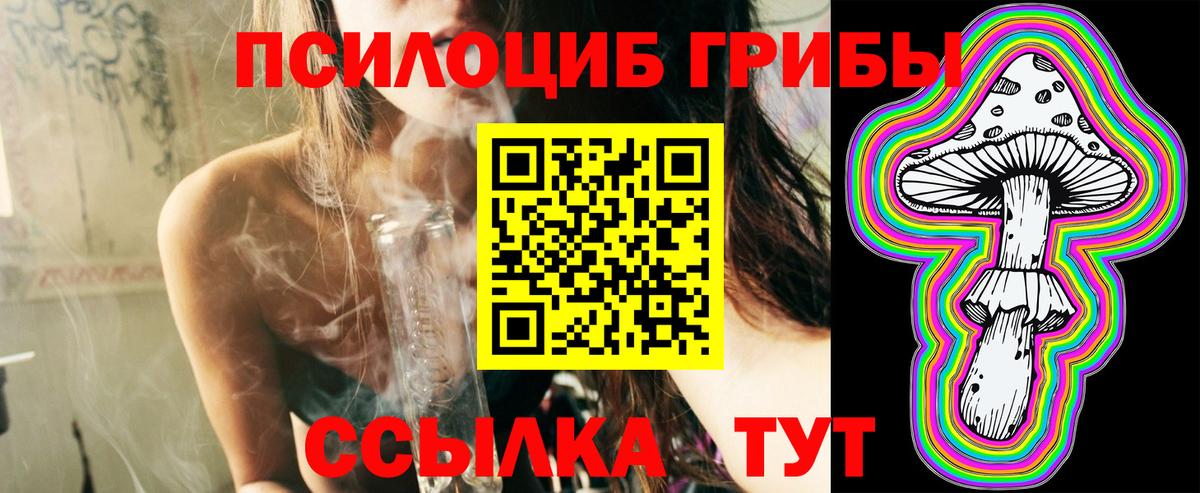 закладка  Вход с VPN  Шарыпово  Галлюциногенные грибы мухоморы 