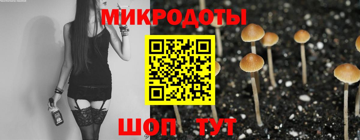 Псилоцибиновые грибы Psilocybine cubensis Шарыпово