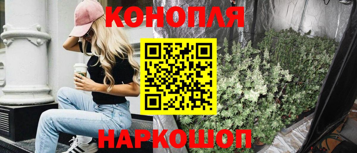 Шарыпово  Марихуана сатива  Марихуана семена  Вход с VPN  МАРИХУАНА Ganja 